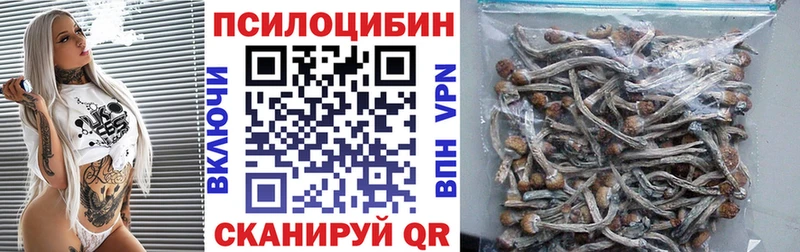Купить Красноуральск Галлюциногенные грибы мицелий